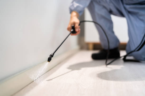Licensed Ant Control service in South Lyon, MI - Show Me Pest Control