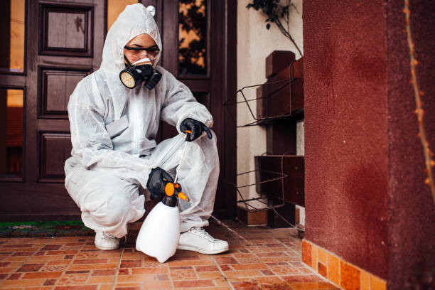 Reliable Ant Control contractor in South Lyon, MI by Show Me Pest Control